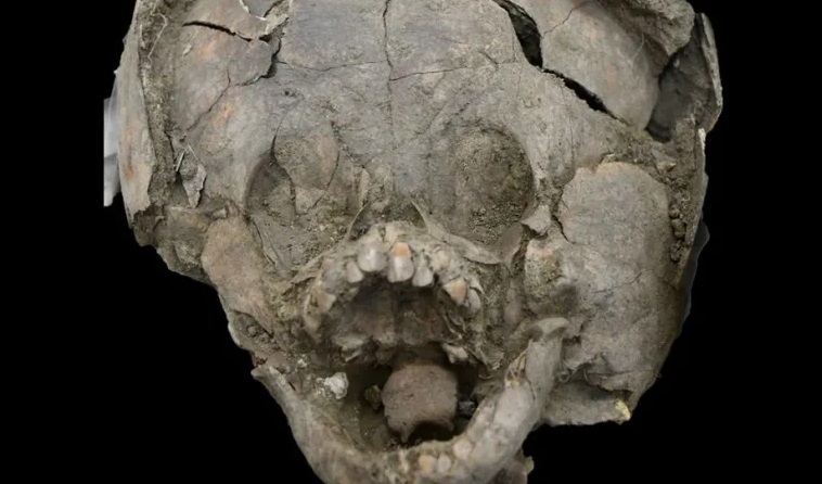 Esqueletos Infantis usando Capacetes de Crânios de outras Crianças atordoam arqueólogos